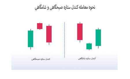 چگونه شورت اسکوییز را پیشبینی کنیم؟