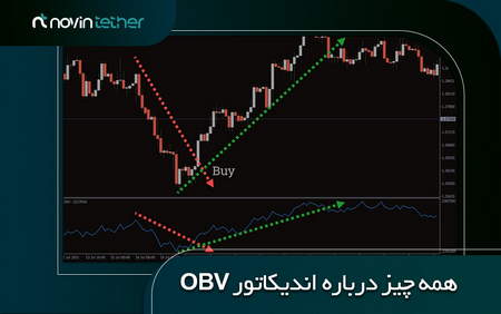 همه چیز در مورد اسکالپ سر